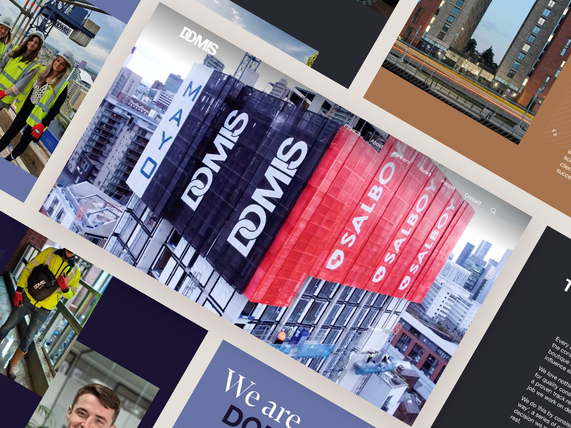 Domis website screenshots