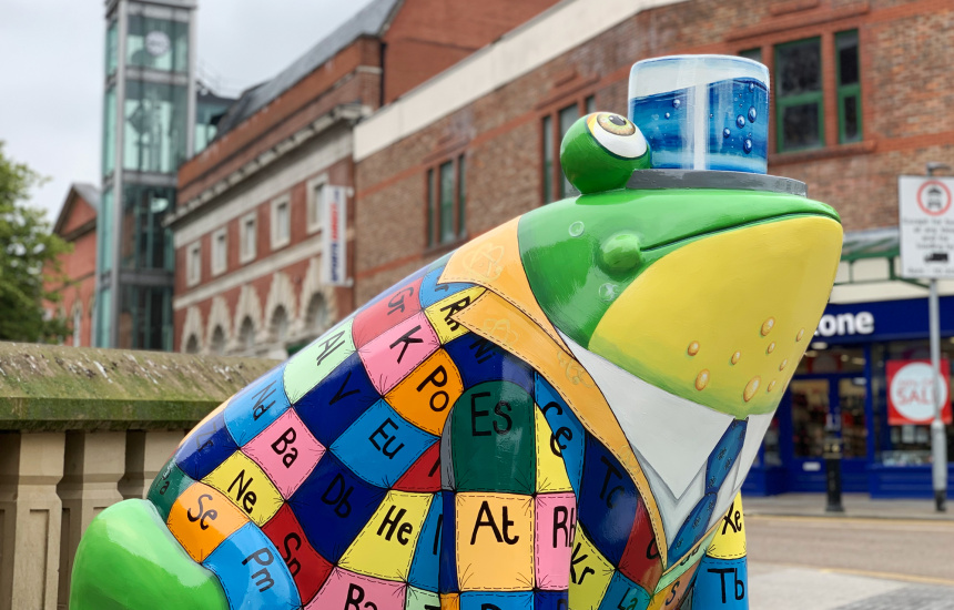 Photo of Periodic Table Frog